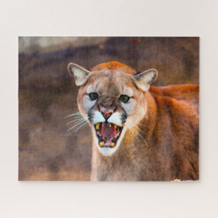Poemaans Cougar. Legpuzzel