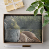 Poemauberg Leeuw Wildlife Tissue Papier (Geschenk)