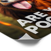 Poep je? Grappige Hooglanders Koe, Koe Kunst Poster (Hoek)