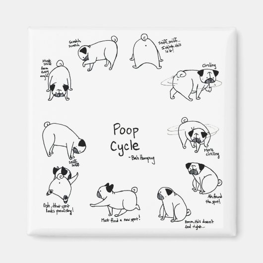 Poepcyclus Magneet (Voorkant)