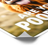 Poepen jullie? Grappige Highland Koe, Koe kunst Poster (Hoek)