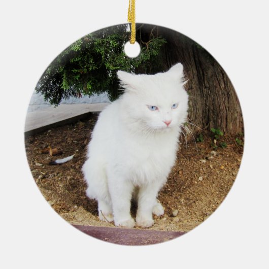 Poepende Kat Keramisch Ornament (Achterkant)