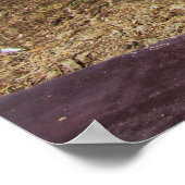 poepende kat poster (Hoek)