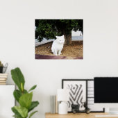 poepende kat poster (Thuiskantoor)