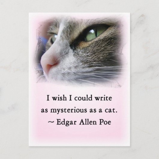 Poe's Cat Briefkaart (Voorkant)