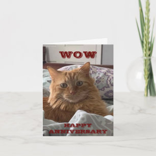 POES DIE MIAUWT ZEGT **GEFELICITEERD MET JE TROUWd Kaart