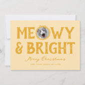 Poes & Lichtgekleurde Doodlekat Foto Kerstmis Feestdagenkaart (Voorkant)