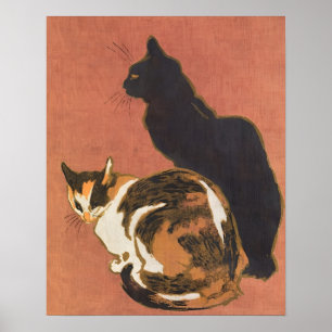 poes, poesje, , kitten, kittens, dier, kat, poster