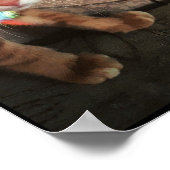 poes, poesje, schattig, kat, kitten, zwarte poes, poster (Hoek)