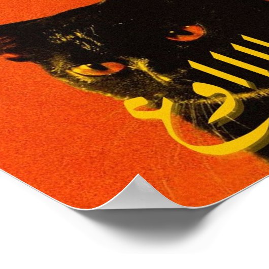 poes, schattig, kitten, kat, grappig, poezen, meme poster (Hoek)