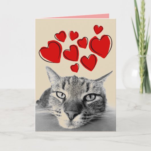 POES VALENTIJNSDAG KAARTEN (Voorkant)