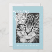 Poesengelster uw kattenfoto vakantie feestdagenkaart (Voorkant)