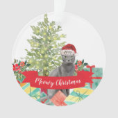 Poesig Kerstmis Blauw Russische Kat Ornament (voorkant)