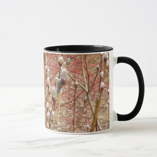 poesje willows in lente mok (Rechts)