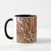 poesje willows in lente mok (Links)