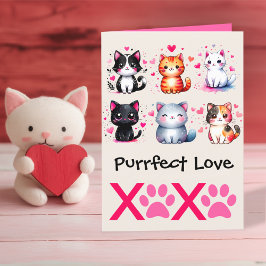Poesverliefd Cute Kattenthema Valentijnsdag Feestdagen Kaart