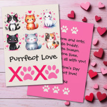 Poesverliefd Cute Kattenthema Valentijnsdag