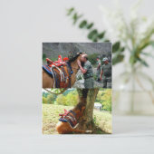 Poetin en een paard м и , а , steken В , и ,  ,  r Briefkaart (Staand voorkant)