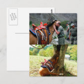 Poetin en een paard м и , а , steken В , и ,  ,  r Briefkaart (Voorkant / Achterkant)