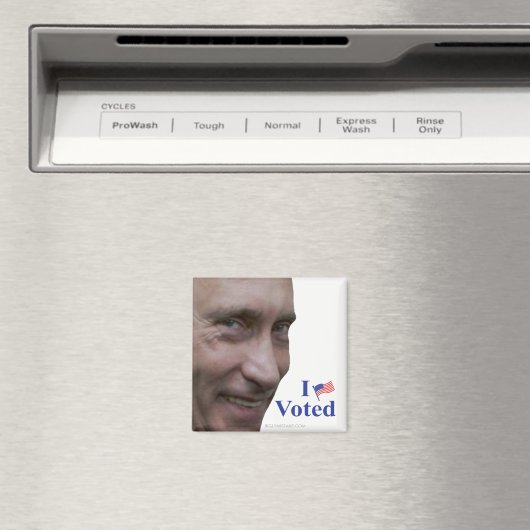 Poetin stemde magneet (Insitu (Vaatwasser))