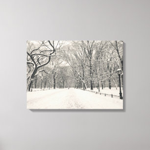 Poet's Walk - Central Park - Verenigde Staten Canvas Afdruk
