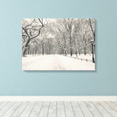Poet's Walk - Central Park - Verenigde Staten Canvas Afdruk (Insitu (Houten vloer))