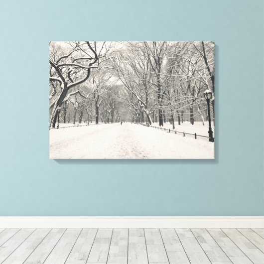 Poet's Walk - Central Park - Verenigde Staten Canvas Afdruk (Insitu (Houten vloer))