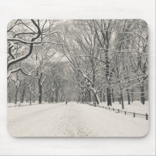 Poet's Walk - Central Park Winter Muismat