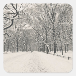 Poet's Walk - Central Park Winter Vierkante Sticker