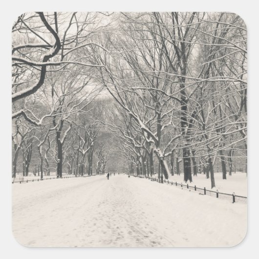 Poet's Walk - Central Park Winter Vierkante Sticker (Voorkant)