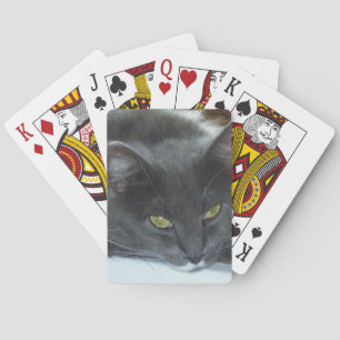 Poezenkatten 8 Speelkaarten