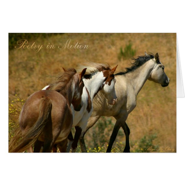 Poëzie in Motion ~ Wild Mares (Voorkant Horizontaal)