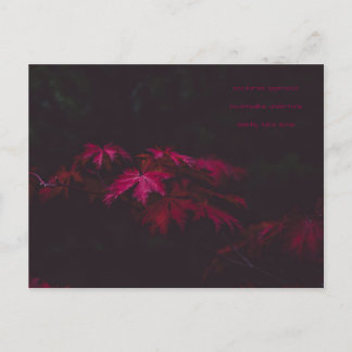 poëzie-kaart briefkaart