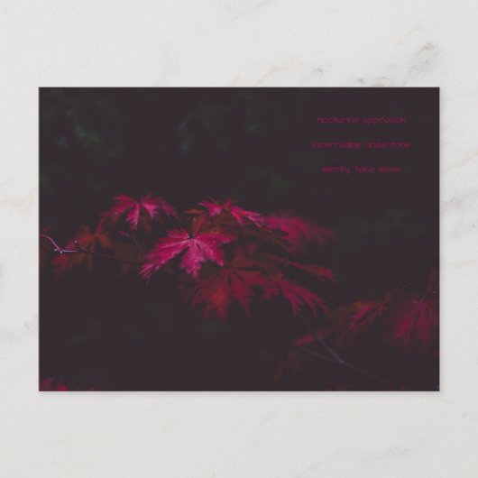 poëzie-kaart briefkaart (Voorkant)