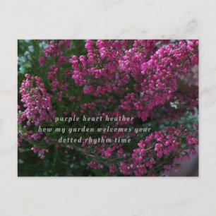 poëzie-kaart briefkaart