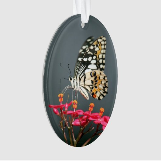 Poëzie "Wings" Ornament (voorkant)