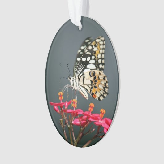 Poëzie "Wings" Ornament (voorkant)