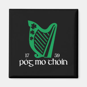 Póg Mo Thóin Ierland Grappig Gelukkig Iers Groen S Magneet