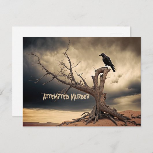 Poging tot moord briefkaart (Voorkant / Achterkant)