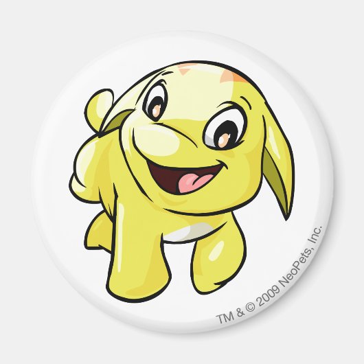 Pogle Yellow Magneet (Voorkant)