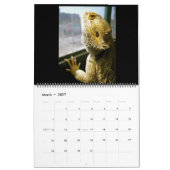 Pogona Vitticeps Dragon Calendar Kalender (Mar 2027)