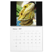 Pogona Vitticeps Dragon Calendar Kalender (Feb 2027)