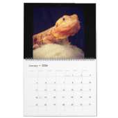 Pogona Vitticeps Dragon Calendar Kalender (Jan 2026)