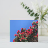 Pohutukawa-ansichtkaart 1 briefkaart (Staand voorkant)