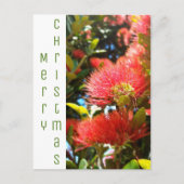 POHUTUKAWA CHRISTMAS FLOWER HOLIDAY COMPANY LOGO FEESTDAGENKAART (Voorkant)