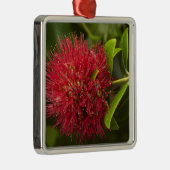 Pohutukawa Flower, Dunedin Metalen Ornament (Rechts)