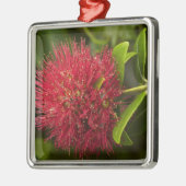 Pohutukawa Flower, Dunedin Metalen Ornament (Links)