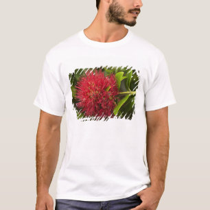 Pohutukawa Flower, Dunedin T-shirt