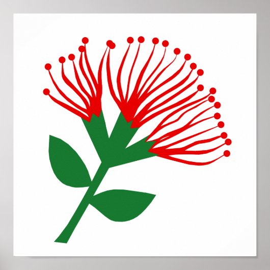 Pohutukawa Flower, Nieuw-Zeeland Poster (Voorkant)