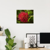 Pohutukawabloem, Dunedin Poster (Thuiskantoor)